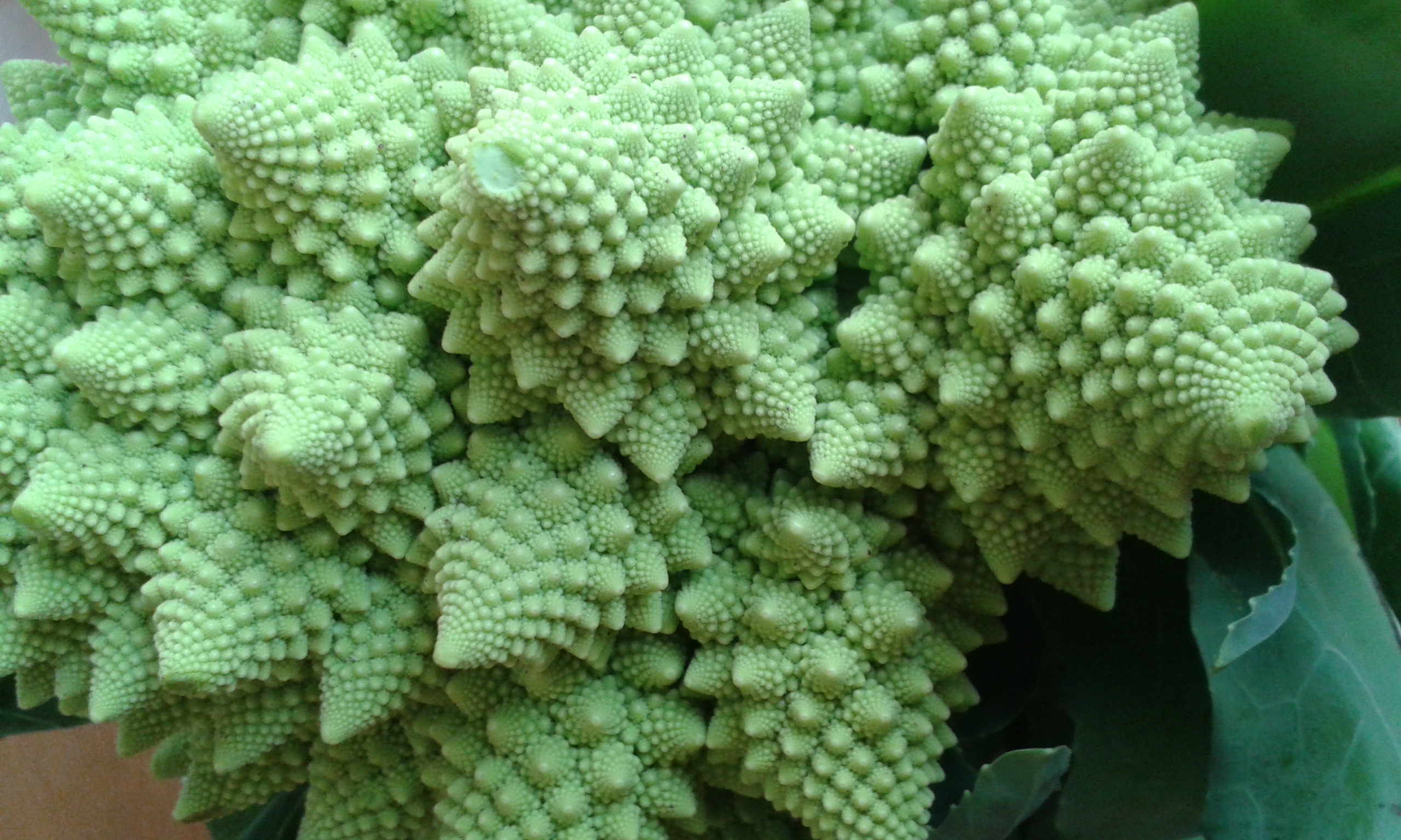 Romanesco